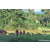 Team 337 / Raid Amazones Sri Lanka 2023 - J6 Trail
