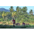 Team 337 / Raid Amazones Sri Lanka 2023 - J6 Trail