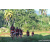 Team 53 / Raid Amazones Sri Lanka 2023 - J6 Trail