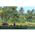 Team 26 / Raid Amazones Sri Lanka 2023 - J6 Trail
