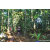 Team 26 / Raid Amazones Sri Lanka 2023 - J6 Trail