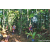 Team 26 / Raid Amazones Sri Lanka 2023 - J6 Trail