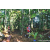 Team 26 / Raid Amazones Sri Lanka 2023 - J6 Trail