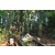 Team 310 / Raid Amazones Sri Lanka 2023 - J6 Trail