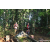 Team 310 / Raid Amazones Sri Lanka 2023 - J6 Trail