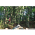 Team 330 / Raid Amazones Sri Lanka 2023 - J6 Trail