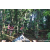 Team 330 / Raid Amazones Sri Lanka 2023 - J6 Trail