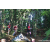 Team 330 / Raid Amazones Sri Lanka 2023 - J6 Trail