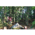 Team 63 / Raid Amazones Sri Lanka 2023 - J6 Trail