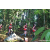 Team 63 / Raid Amazones Sri Lanka 2023 - J6 Trail