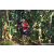 Team 05 / Raid Amazones Sri Lanka 2023 - J6 Trail