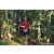 Team 05 / Raid Amazones Sri Lanka 2023 - J6 Trail