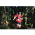 Team 03 / Raid Amazones Sri Lanka 2023 - J6 Trail