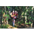 Team 317 / Raid Amazones Sri Lanka 2023 - J6 Trail