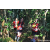 Team 317 / Raid Amazones Sri Lanka 2023 - J6 Trail