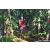 Team 302 / Raid Amazones Sri Lanka 2023 - J6 Trail