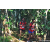 Team 302 / Raid Amazones Sri Lanka 2023 - J6 Trail