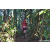 Team 313 / Raid Amazones Sri Lanka 2023 - J6 Trail