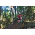 Team 322 / Raid Amazones Sri Lanka 2023 - J6 Trail