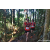 Team 322 / Raid Amazones Sri Lanka 2023 - J6 Trail