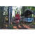 Team 323 / Raid Amazones Sri Lanka 2023 - J6 Trail