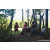 Team 315 / Raid Amazones Sri Lanka 2023 - J6 Trail