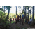 Team 315 / Raid Amazones Sri Lanka 2023 - J6 Trail