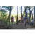 Team 324 / Raid Amazones Sri Lanka 2023 - J6 Trail