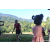 Team 333 / Raid Amazones Sri Lanka 2023 - J6 Trail