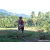 Team 74 / Raid Amazones Sri Lanka 2023 - J6 Trail