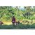 Team 22 / Raid Amazones Sri Lanka 2023 - J6 Trail