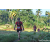 Team 74 / Raid Amazones Sri Lanka 2023 - J6 Trail