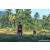 Team 331 / Raid Amazones Sri Lanka 2023 - J6 Trail