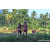 Team 38 / Raid Amazones Sri Lanka 2023 - J6 Trail