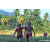 Team 38 / Raid Amazones Sri Lanka 2023 - J6 Trail