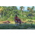 Team 331 / Raid Amazones Sri Lanka 2023 - J6 Trail