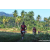 Team 75 / Raid Amazones Sri Lanka 2023 - J6 Trail