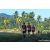 Team 331 / Raid Amazones Sri Lanka 2023 - J6 Trail