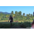 Team 82 / Raid Amazones Sri Lanka 2023 - J6 Trail