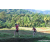 Team 67 / Raid Amazones Sri Lanka 2023 - J6 Trail