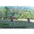 Team 67 / Raid Amazones Sri Lanka 2023 - J6 Trail