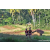 Team 13 / Raid Amazones Sri Lanka 2023 - J6 Trail