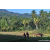 Team 13 / Raid Amazones Sri Lanka 2023 - J6 Trail