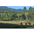 Team 14 / Raid Amazones Sri Lanka 2023 - J6 Trail
