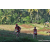 Team 14 / Raid Amazones Sri Lanka 2023 - J6 Trail