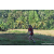 Team 14 / Raid Amazones Sri Lanka 2023 - J6 Trail