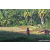 Team 11 / Raid Amazones Sri Lanka 2023 - J6 Trail