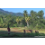 Team 11 / Raid Amazones Sri Lanka 2023 - J6 Trail