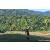 Team 11 / Raid Amazones Sri Lanka 2023 - J6 Trail