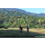 Team 85 / Raid Amazones Sri Lanka 2023 - J6 Trail
